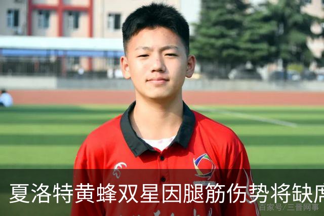 夏洛特黄蜂双星因腿筋伤势将缺席季前赛